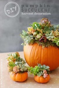 18 Incredibly Creative Thanksgiving Decoration Ideas to Explore This Holiday Season