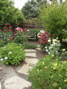 25 Innovative Ideas for Small Backyard Gardens to Beautify Your Landscape