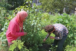 Inspiring Insights from Community Garden Enthusiasts