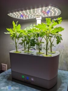 Is an AeroGarden a Good Investment? A Practical Evaluation