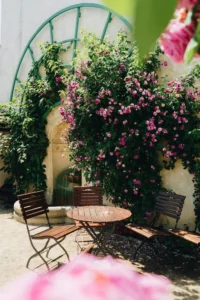The Therapeutic Benefits of Gardening: Enhancing Mental and Physical Well-Being